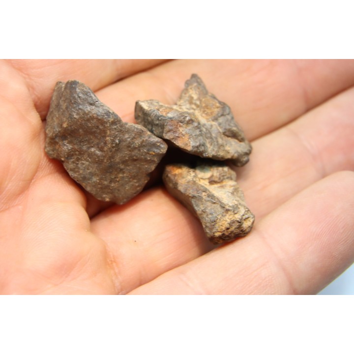 lot de 3 METEORITES CHONDRITE ORDINAIRE NWA