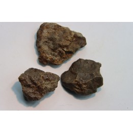 set of 3 METEORITES Ordinary chondrite NWA