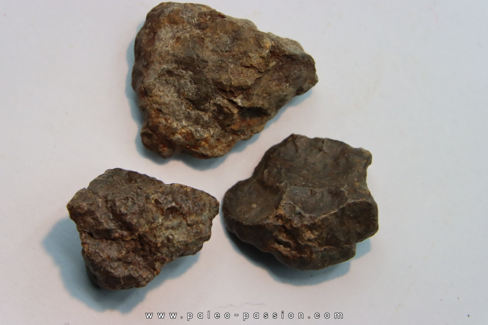 lot de 3 METEORITES CHONDRITE ORDINAIRE NWA