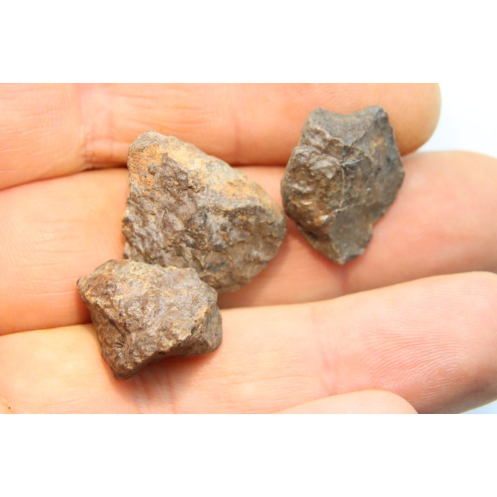 set of 3 METEORITES Ordinary chondrite NWA