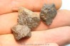 lot de 3 METEORITES CHONDRITE ORDINAIRE NWA