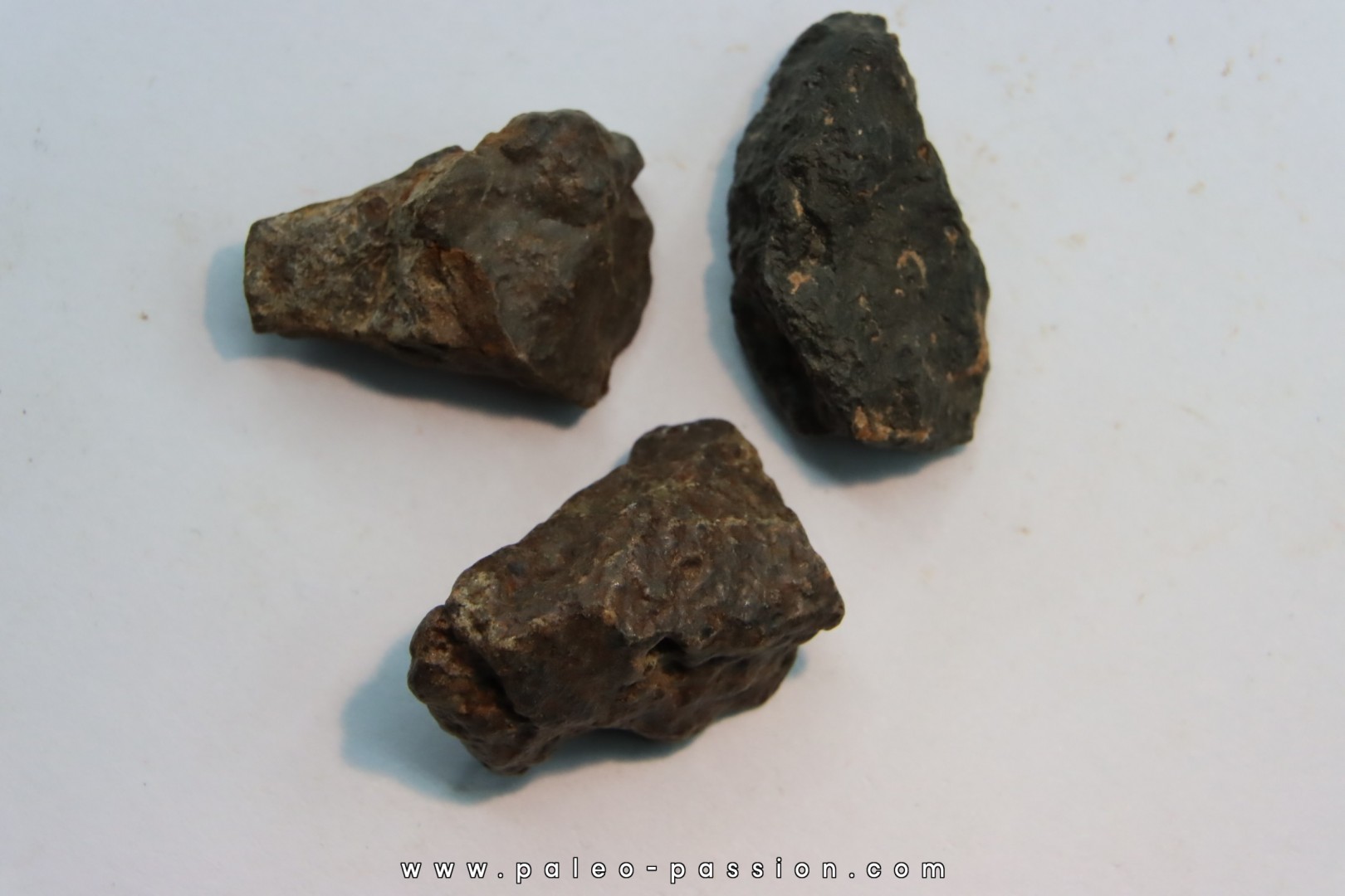 lot de 3 METEORITES CHONDRITE ORDINAIRE NWA