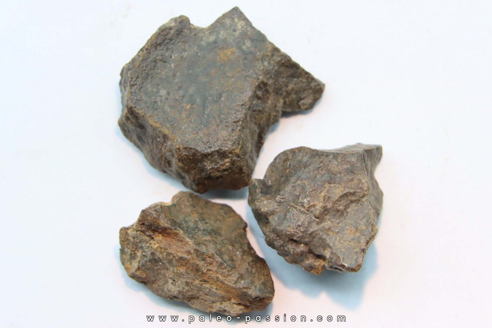 lot de 3 METEORITES CHONDRITE ORDINAIRE NWA