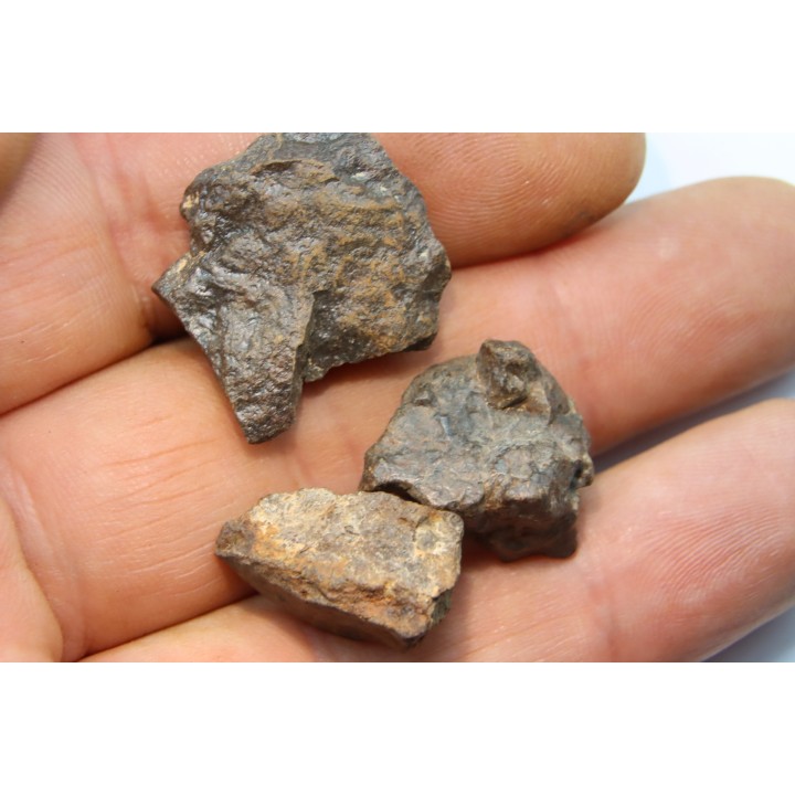 set of 3 METEORITES Ordinary chondrite NWA