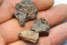 set of 3 METEORITES Ordinary chondrite NWA