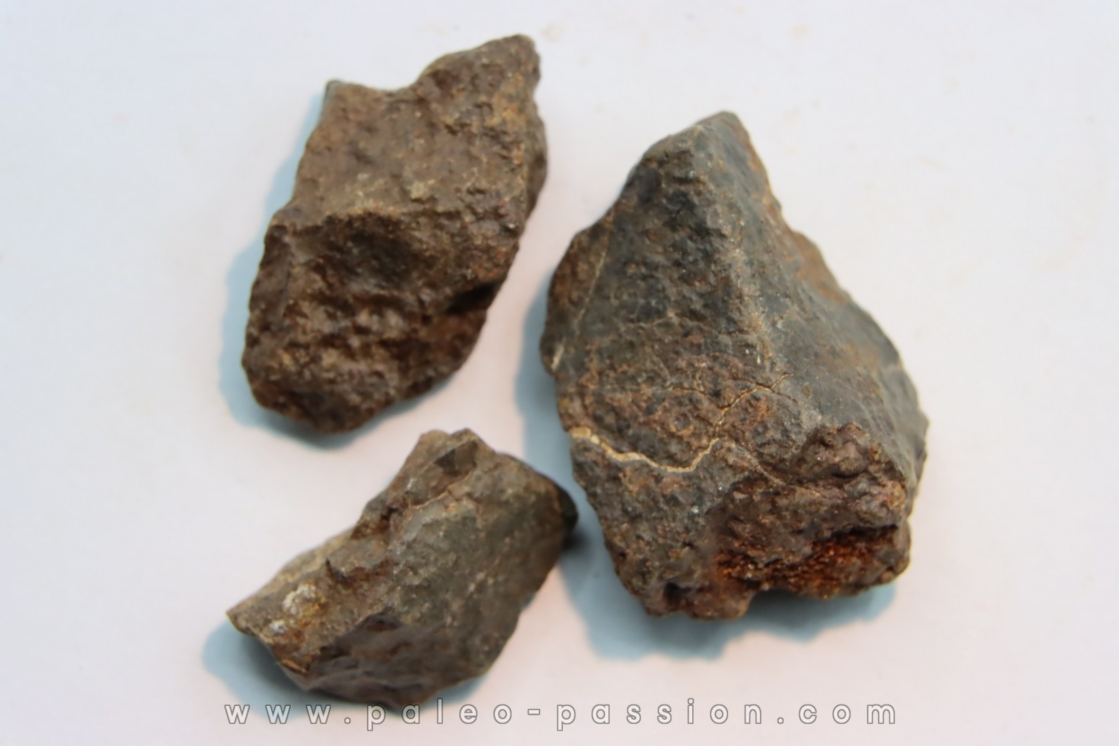 lot de 3 METEORITES CHONDRITE ORDINAIRE NWA