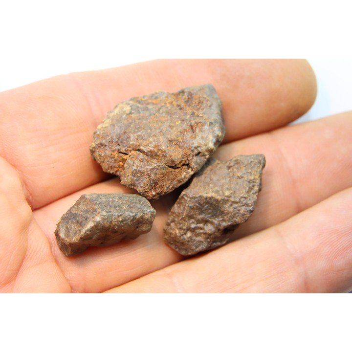 set of 3 METEORITES Ordinary chondrite NWA