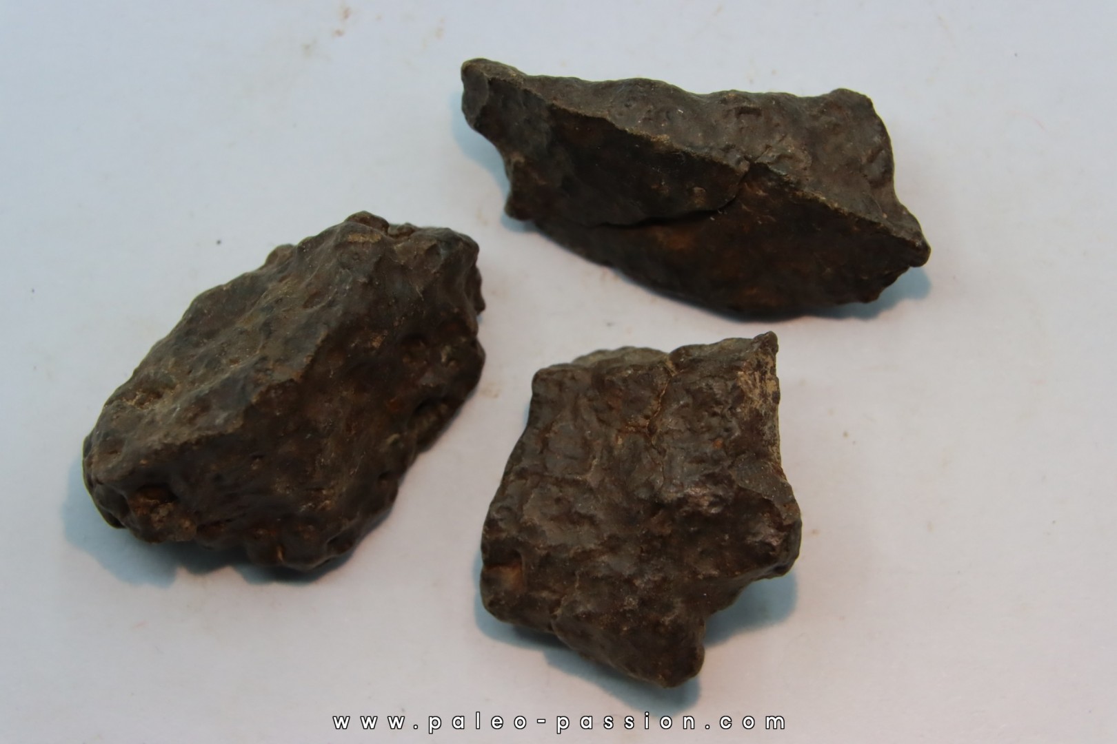 lot de 3 METEORITES CHONDRITE ORDINAIRE NWA