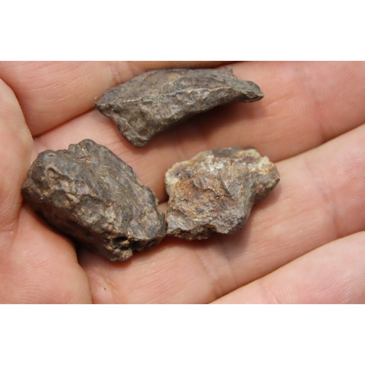 lot de 3 METEORITES CHONDRITE ORDINAIRE NWA