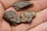 set of 3 METEORITES Ordinary chondrite NWA