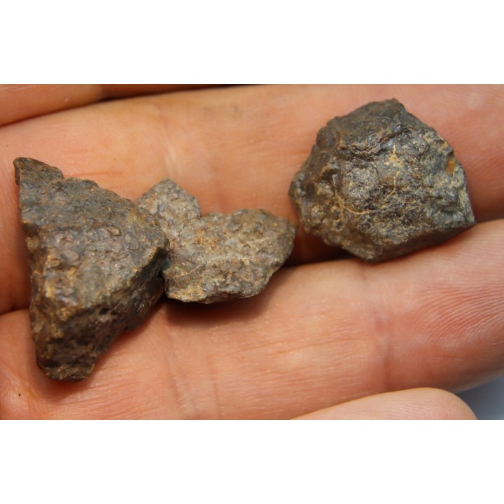 set of 3 METEORITES Ordinary chondrite NWA