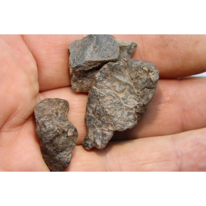 lot de 3 METEORITES CHONDRITE ORDINAIRE NWA