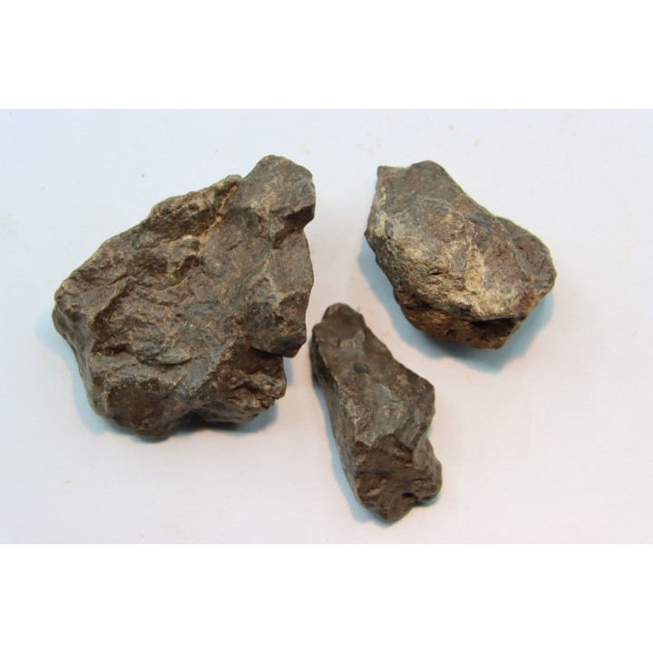 set of 3 METEORITES Ordinary chondrite NWA