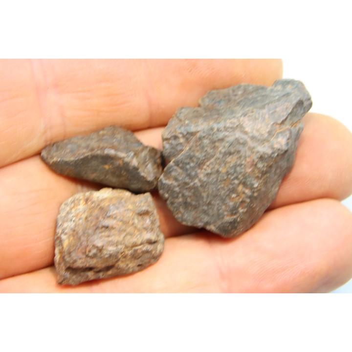 lot de 3 METEORITES CHONDRITE ORDINAIRE NWA