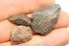 set of 3 METEORITES Ordinary chondrite NWA