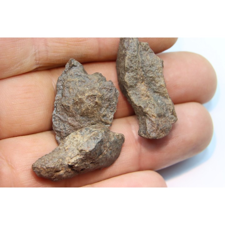set of 3 METEORITES Ordinary chondrite NWA