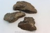 set of 3 METEORITES Ordinary chondrite NWA