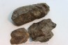 lot de 3 METEORITES CHONDRITE ORDINAIRE NWA