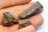 set of 3 METEORITES Ordinary chondrite NWA