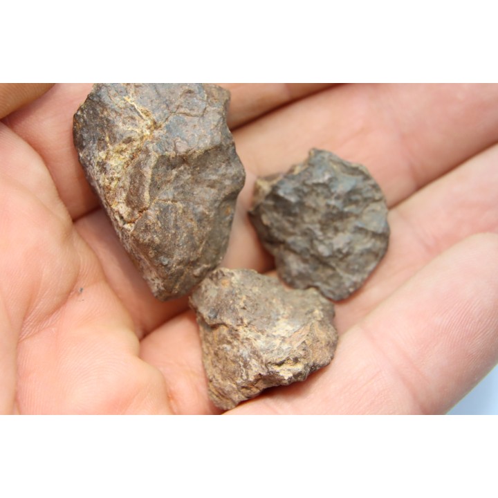 set of 3 METEORITES Ordinary chondrite NWA