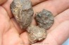 lot de 3 METEORITES CHONDRITE ORDINAIRE NWA
