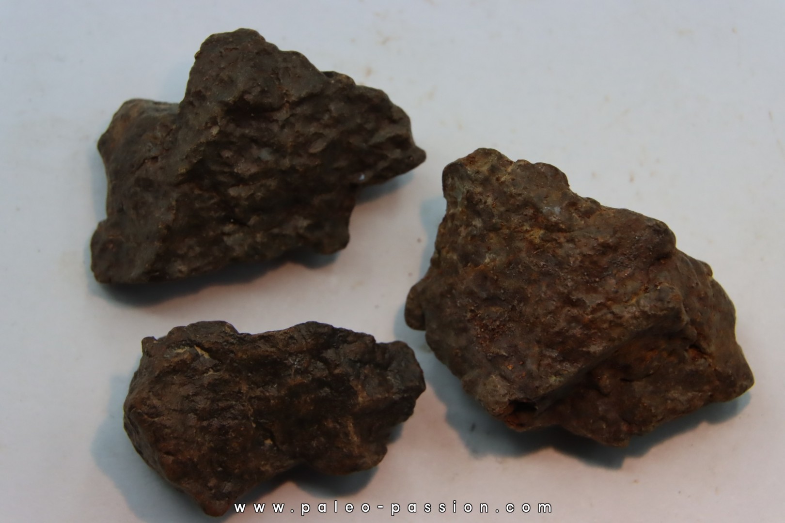 lot de 3 METEORITES CHONDRITE ORDINAIRE NWA