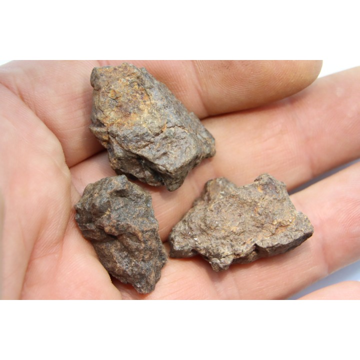 set of 3 METEORITES Ordinary chondrite NWA