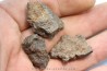 set of 3 METEORITES Ordinary chondrite NWA