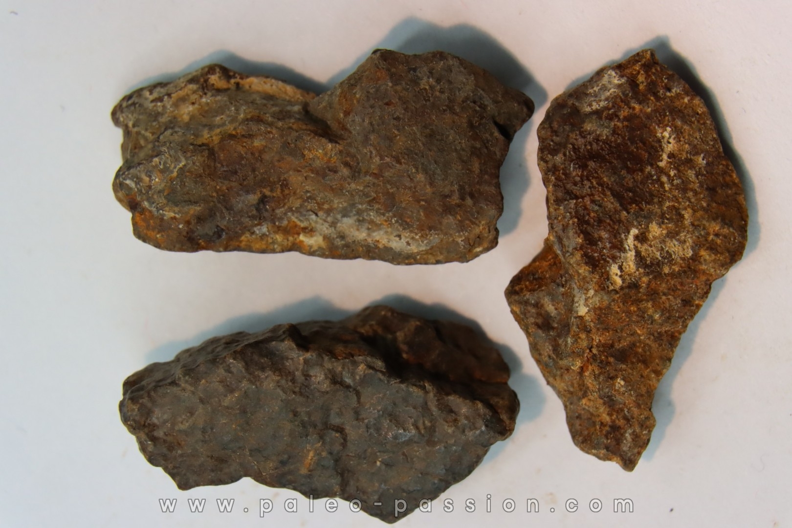 lot de 3 METEORITES CHONDRITE ORDINAIRE NWA