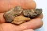 lot de 3 METEORITES CHONDRITE ORDINAIRE NWA
