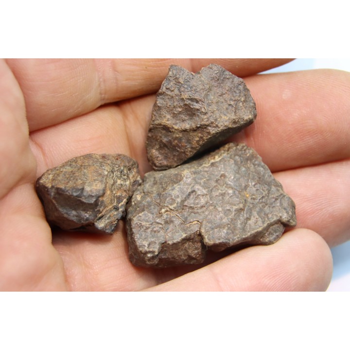 set of 3 METEORITES Ordinary chondrite NWA