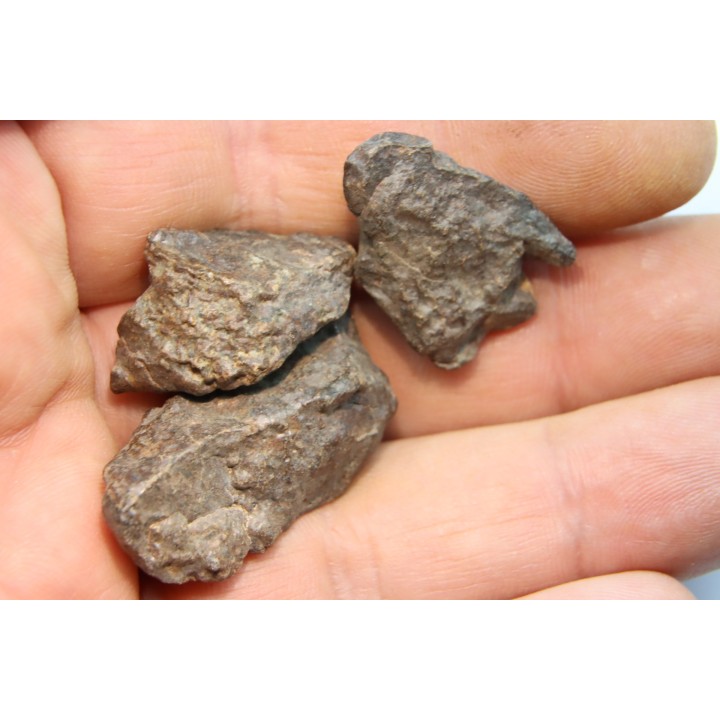 set of 3 METEORITES Ordinary chondrite NWA