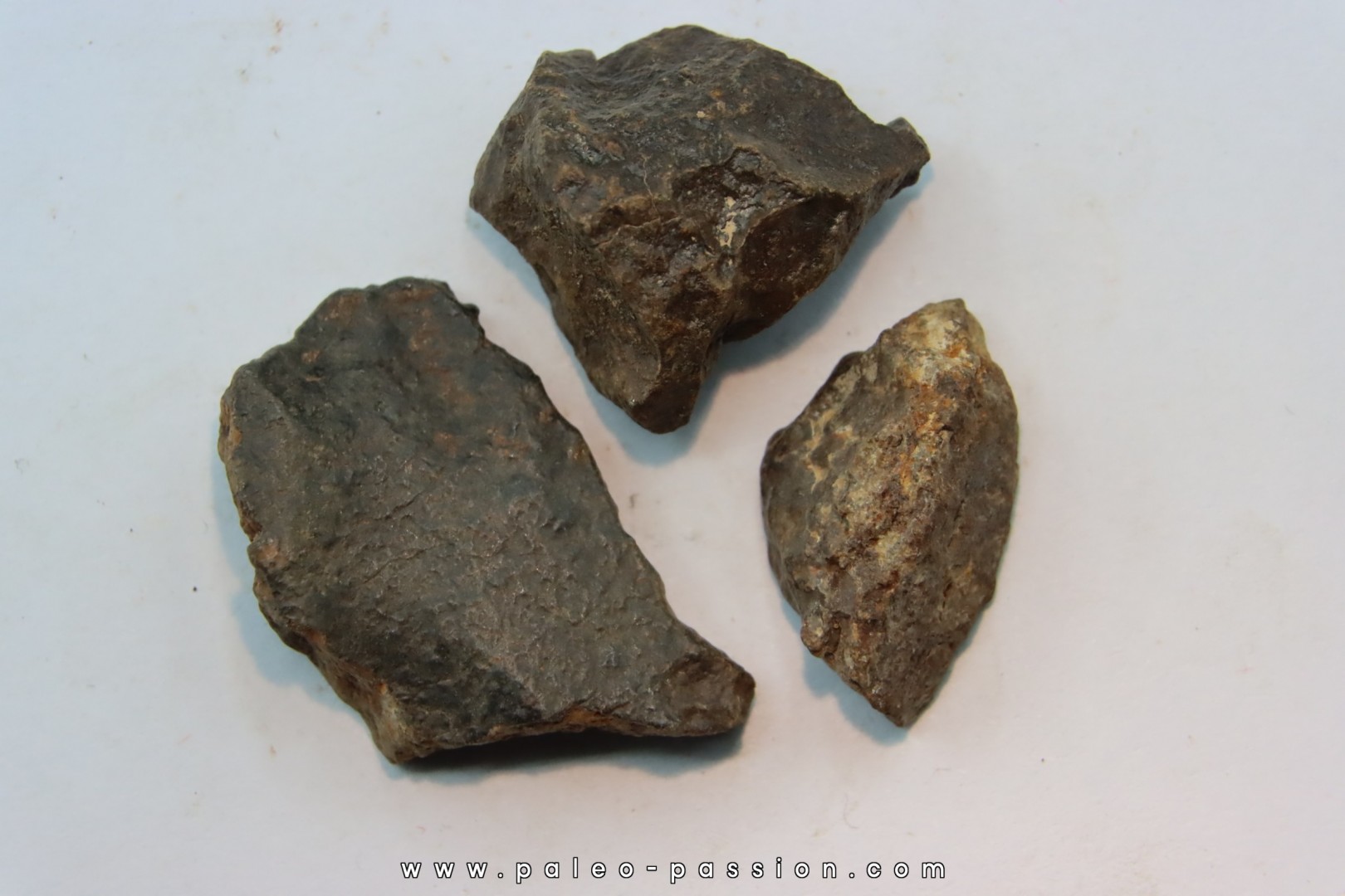 lot de 3 METEORITES CHONDRITE ORDINAIRE NWA