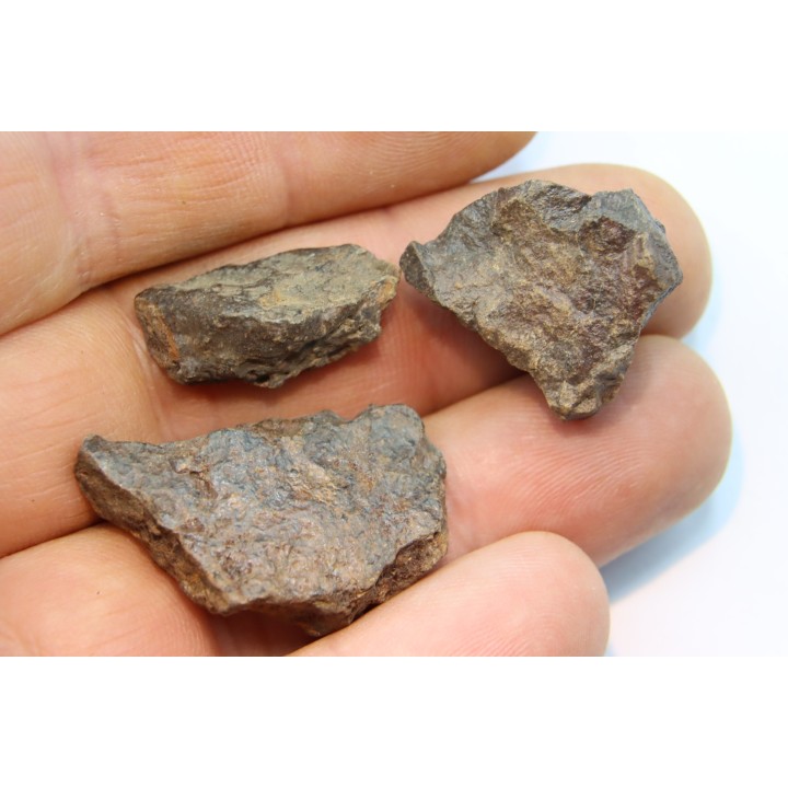 set of 3 METEORITES Ordinary chondrite NWA