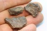 set of 3 METEORITES Ordinary chondrite NWA