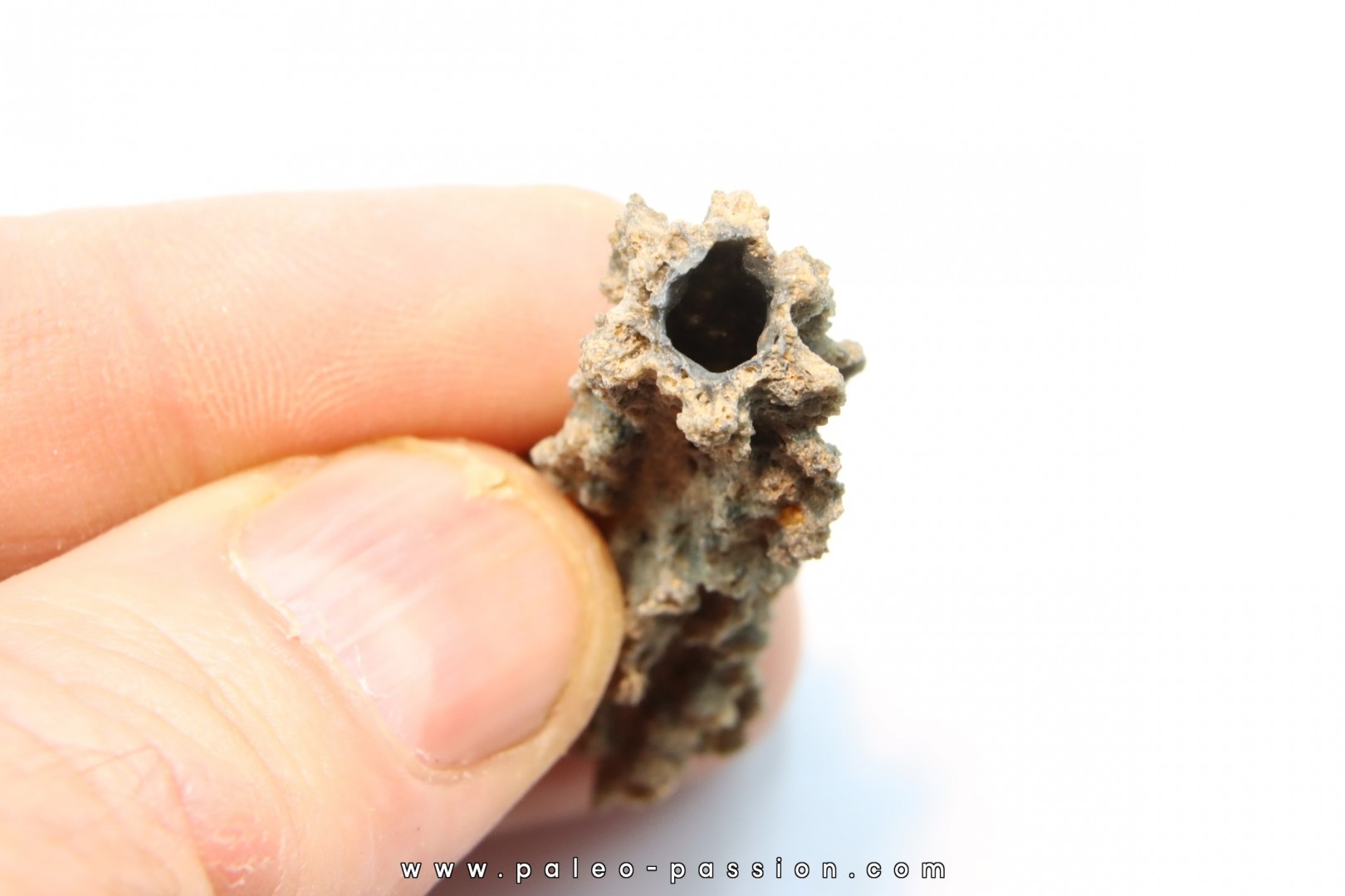 FULGURITE