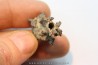 FULGURITE