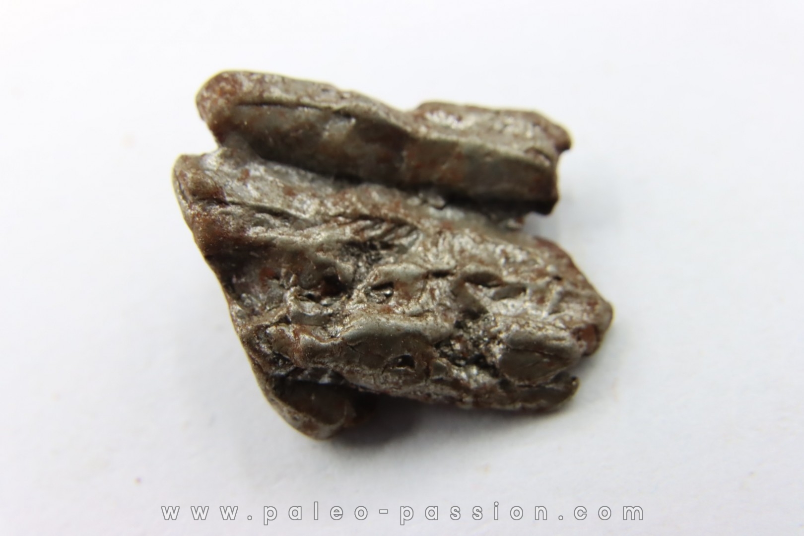 Météorite Uruaçu - Brésil