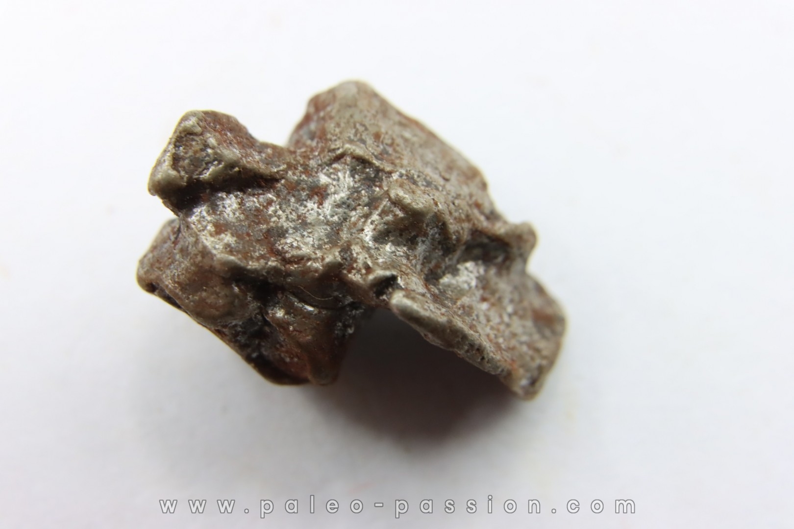 Météorite Uruaçu - Brésil