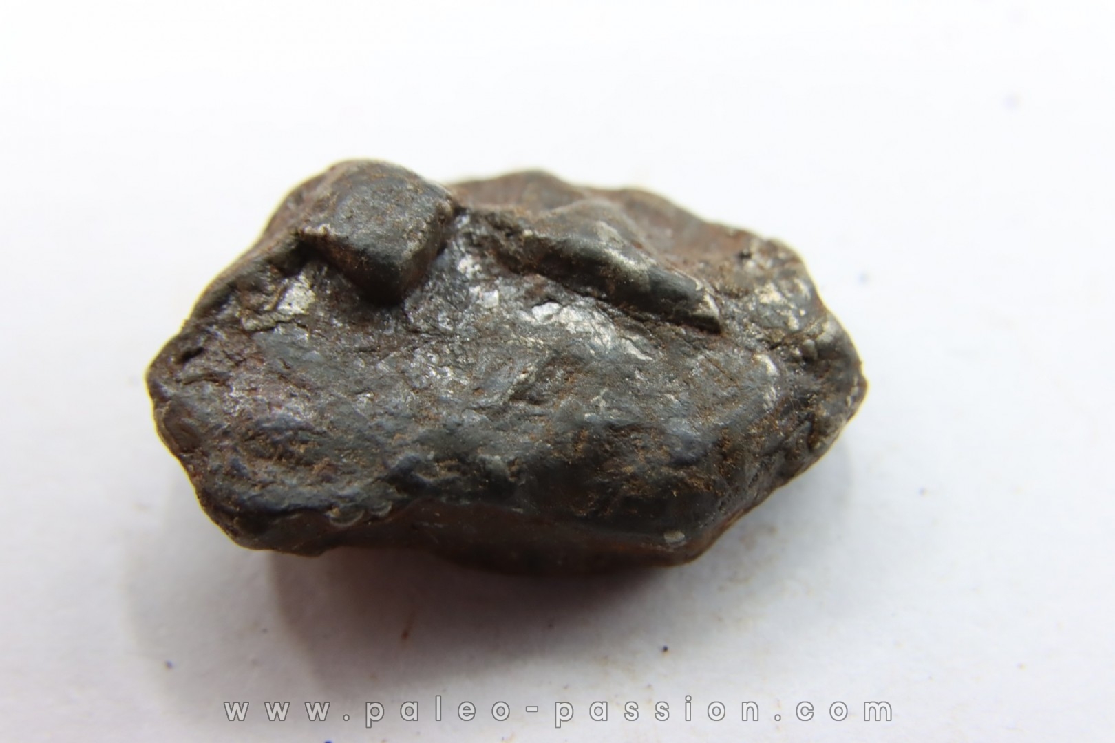 Météorite Uruaçu - Brésil