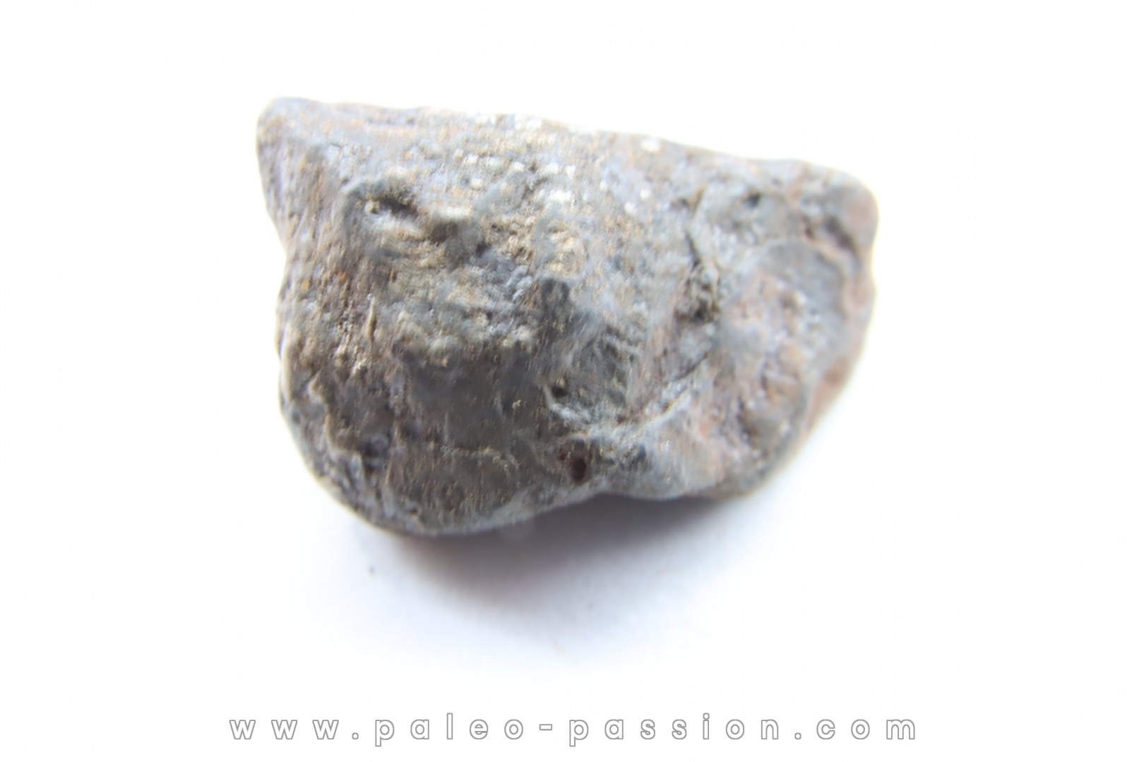 Météorite Uruaçu - Brésil