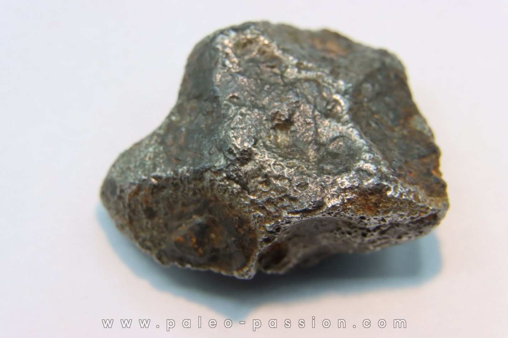 Météorite AGOUDAL IMILCHIL - Morocco