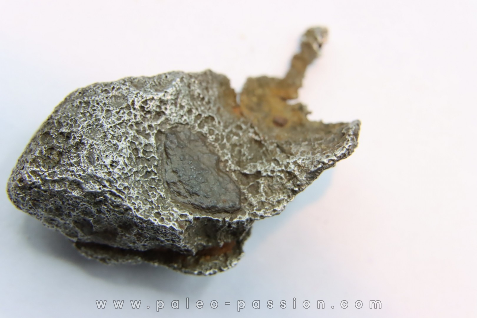 Météorite AGOUDAL IMILCHIL - Morocco