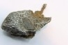 Météorite Agoudal Imilchil - Maroc