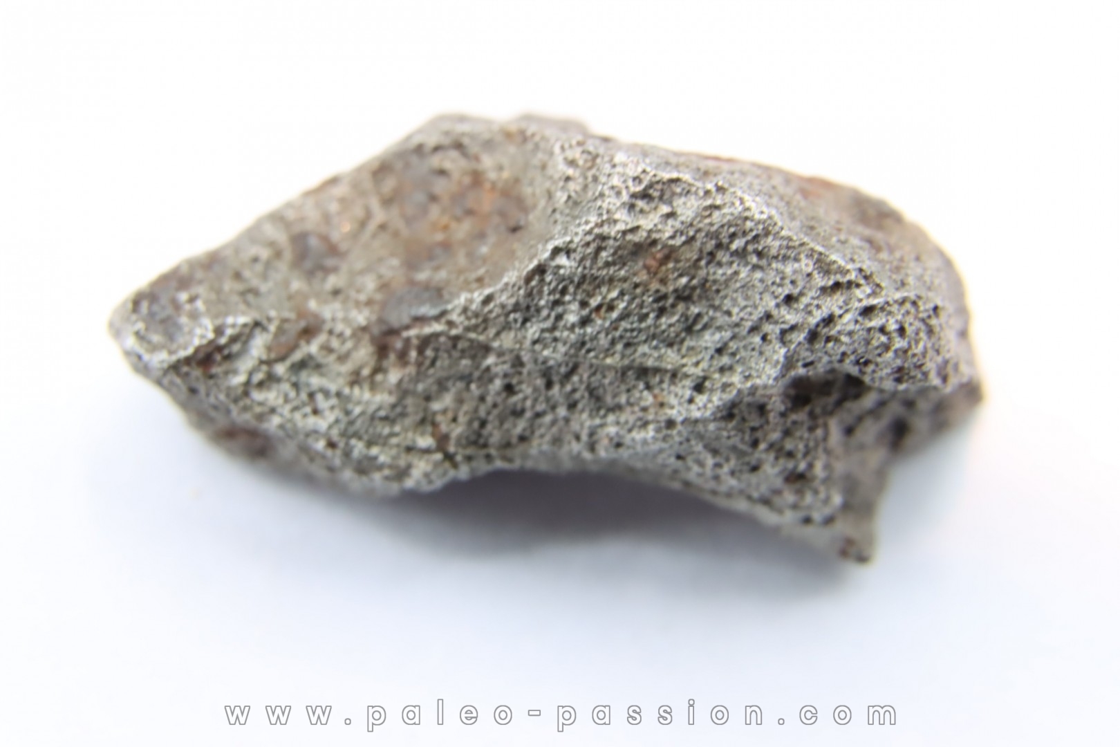 Météorite AGOUDAL IMILCHIL - Morocco