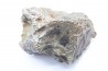 Météorite AGOUDAL IMILCHIL - Morocco