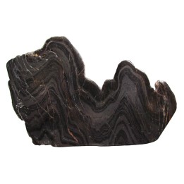 Stromatolithe - Wyoming USA (1)