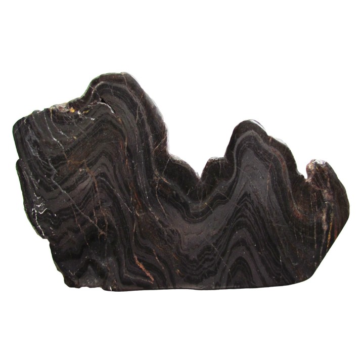 Stromatolithe - Wyoming USA (1)