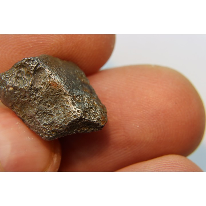 Météorite Agoudal Imilchil - Maroc