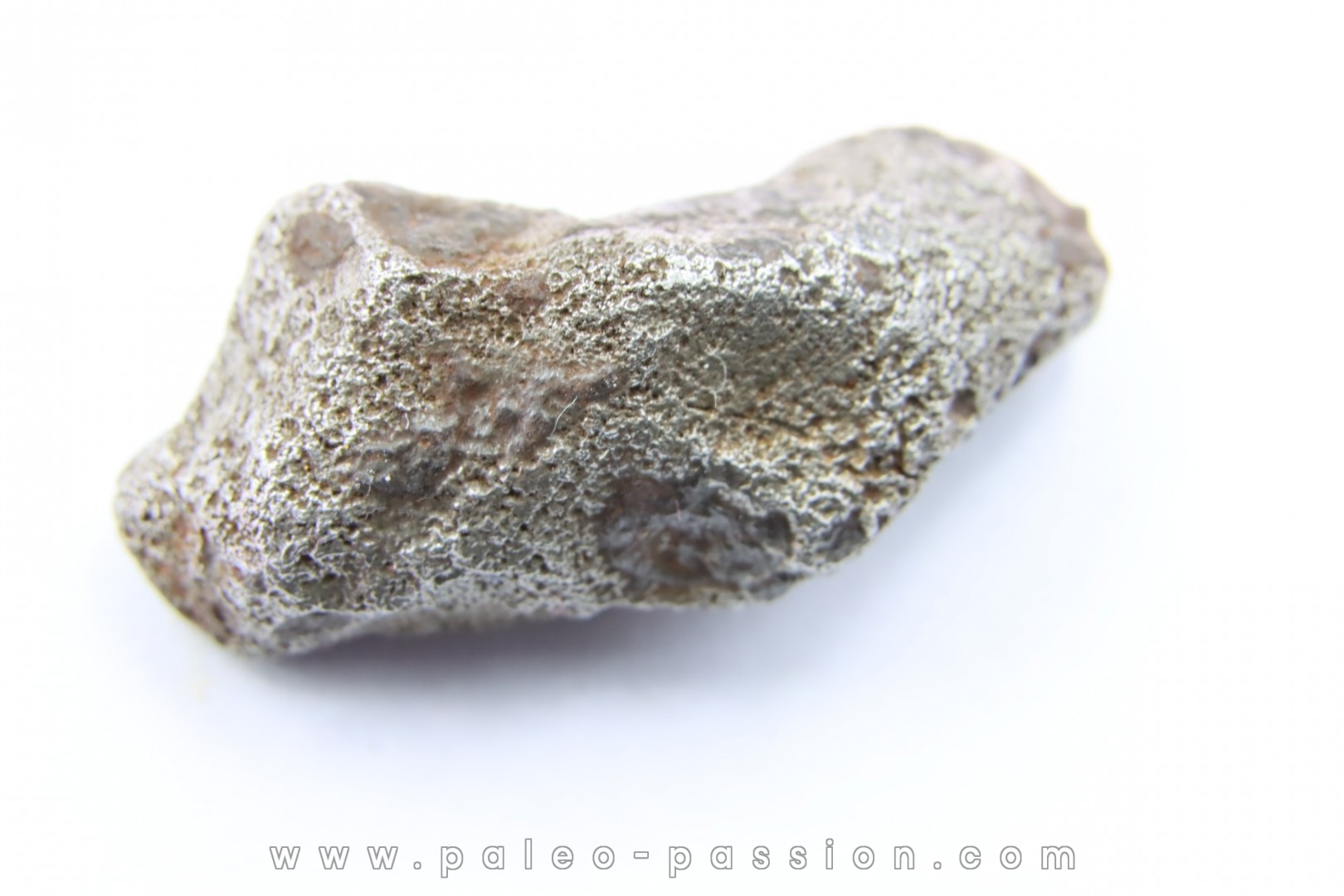 Météorite AGOUDAL IMILCHIL - Morocco